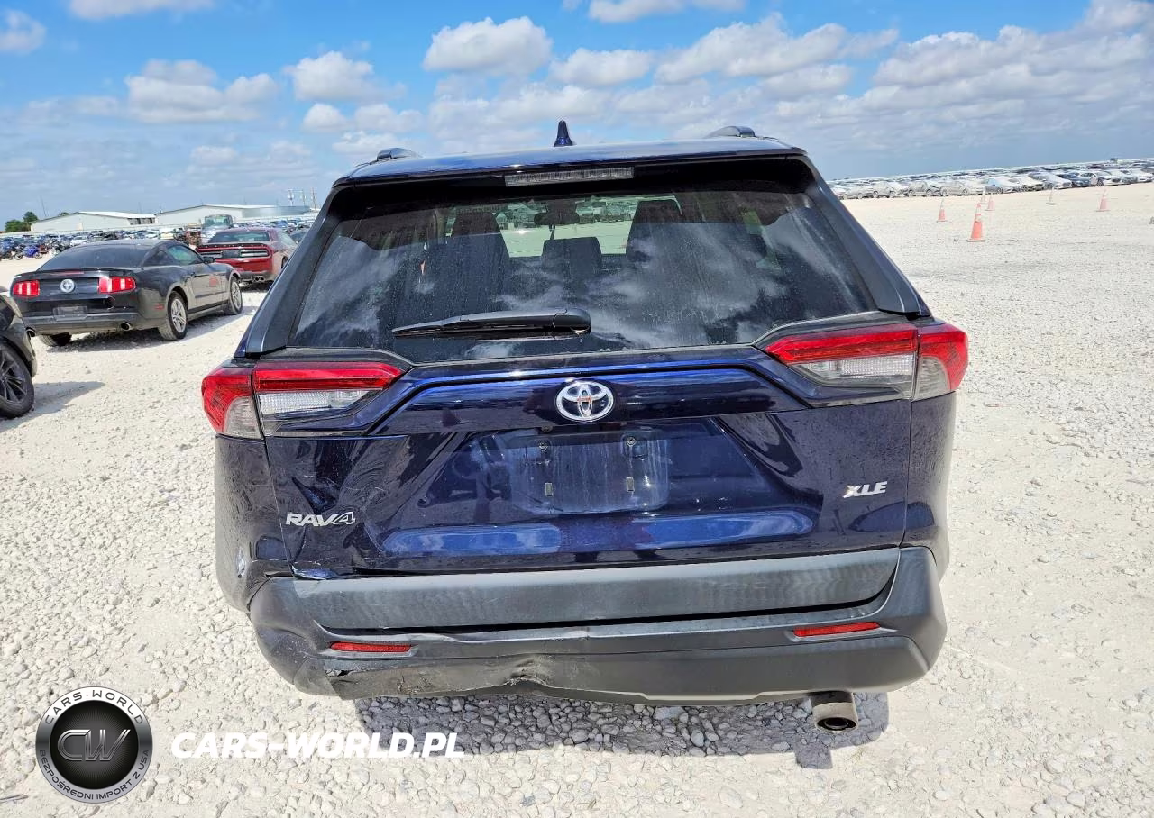 2019 Toyota Rav4 Xle Premium VIN:2T3C1RFVXKW025519 - 6