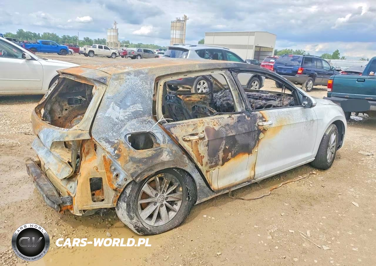 VOLKSWAGEN GOLF VIN:3VW217AU9FM010318 - 3