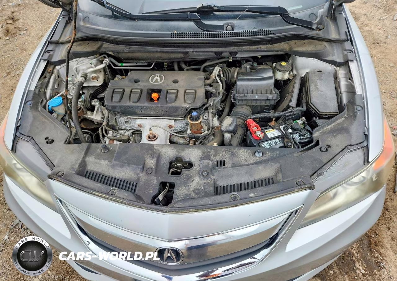 2014 Acura Ilx 20 Premium VIN:19VDE1F53EE007639 - 11