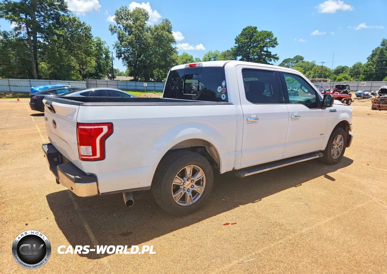2017 Ford F150 Supercrew VIN:1FTEW1CP5HKC90531 - 3