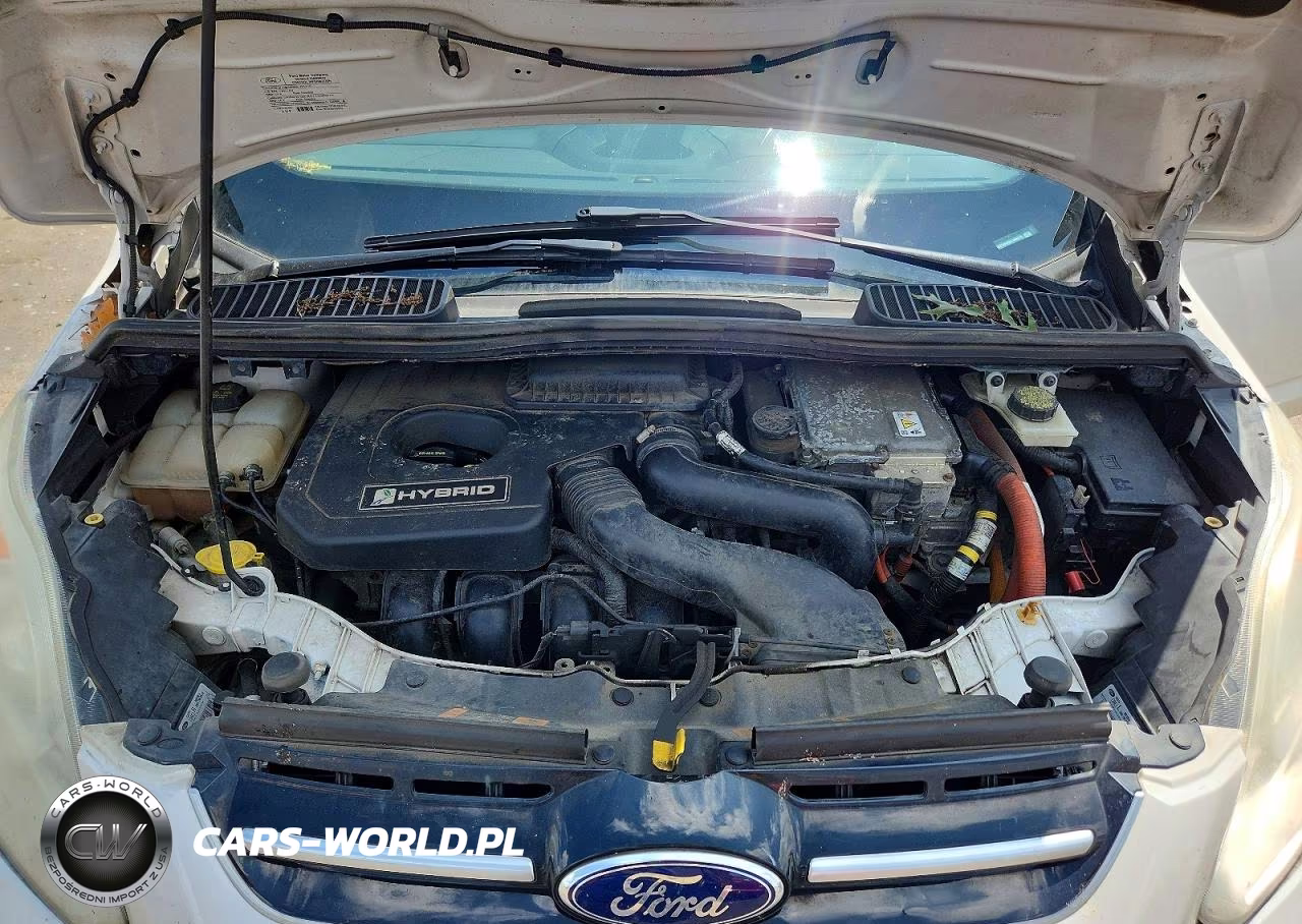 2013 Ford C-Max VIN:1FADP5BU4DL546370 - 12