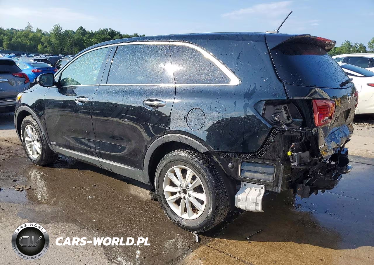 2019 Kia Sorento Lx VIN:5XYPGDA30KG478488 - 2