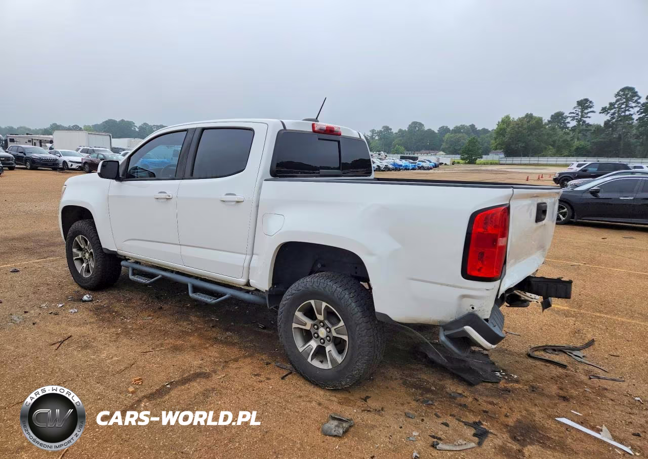 2019 Chevrolet Colorado Z71 VIN:1GCGTDEN4K1166553 - 2