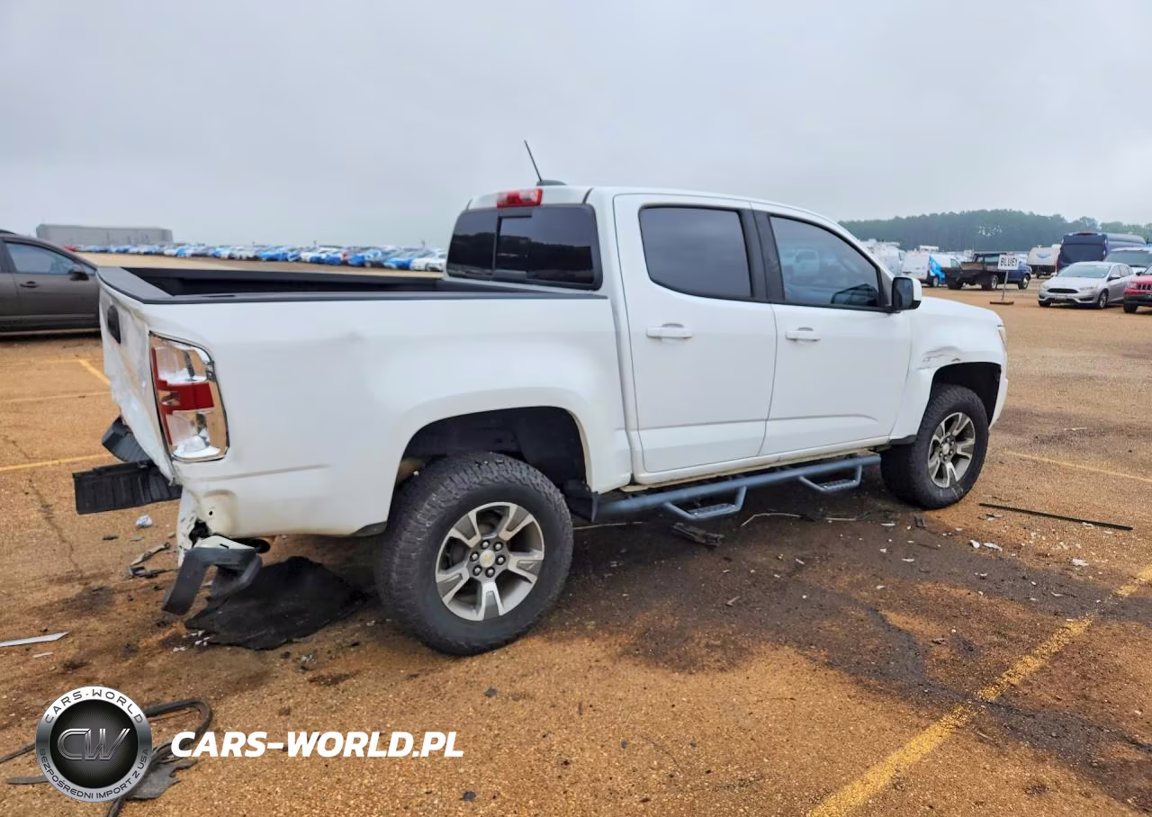2019 Chevrolet Colorado Z71 VIN:1GCGTDEN4K1166553 - 3