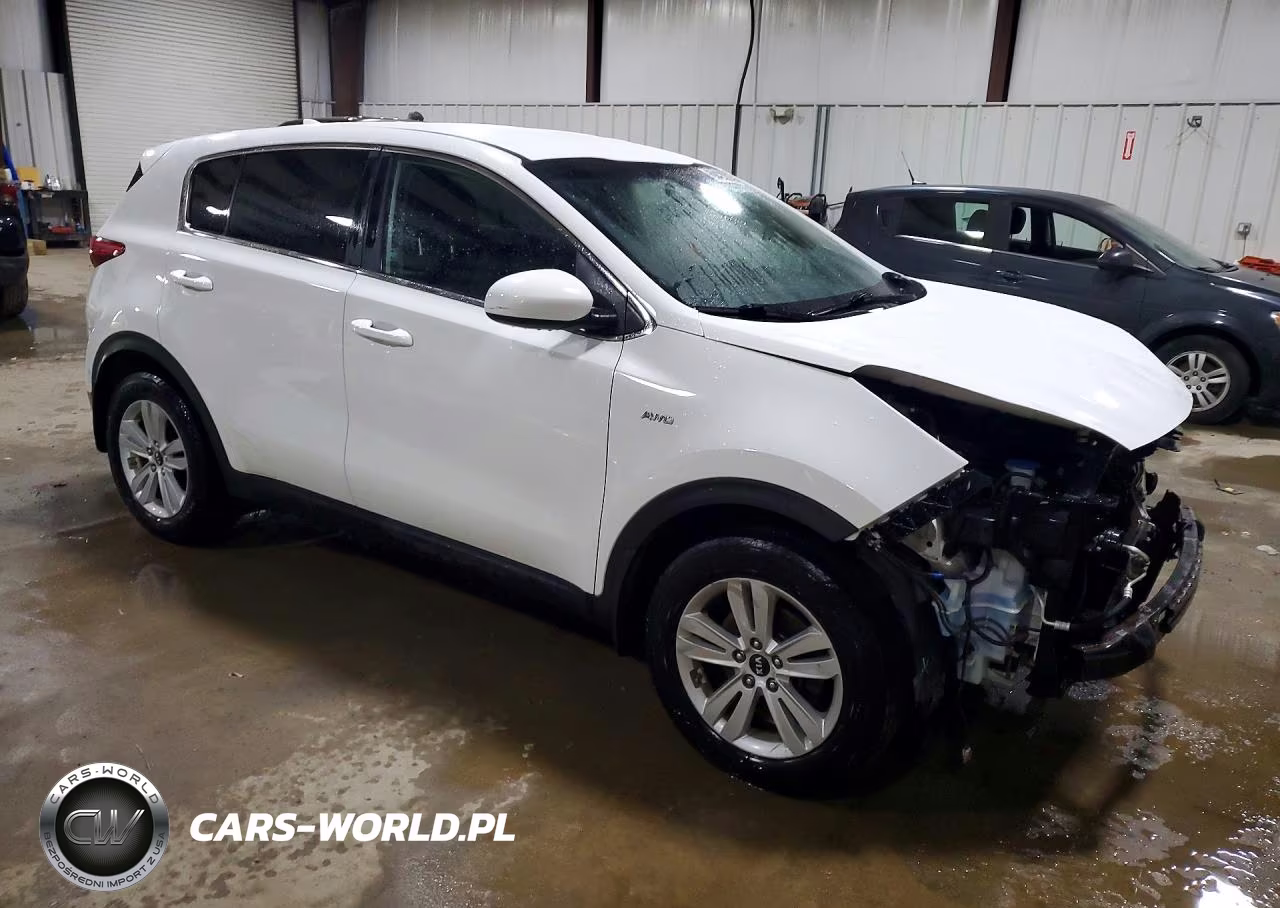 2017 Kia Sportage Lx VIN:KNDPMCAC2H7041150 - 4
