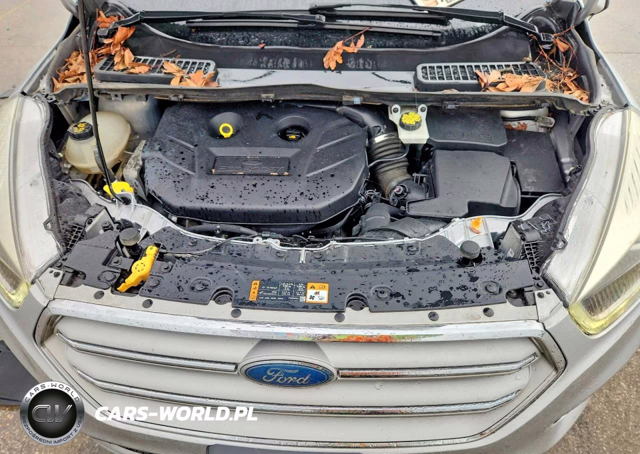 2018 Ford Escape VIN:1FMCU0J97JUB72546 - 12