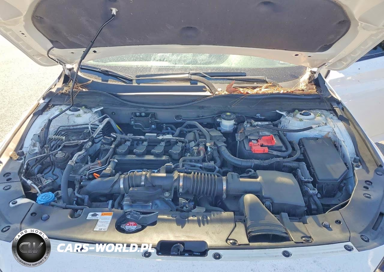 2022 Honda Accord Sport VIN:1HGCV1F37NA111007 - 11