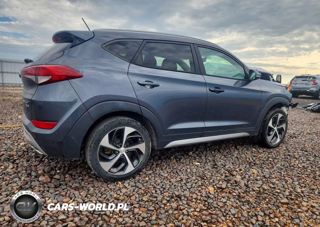 2017 Hyundai Tucson Sport VIN:KM8J3CA21HU364795 - 3