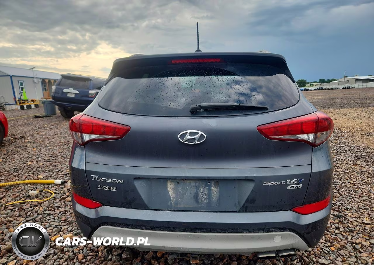 2017 Hyundai Tucson Sport VIN:KM8J3CA21HU364795 - 6