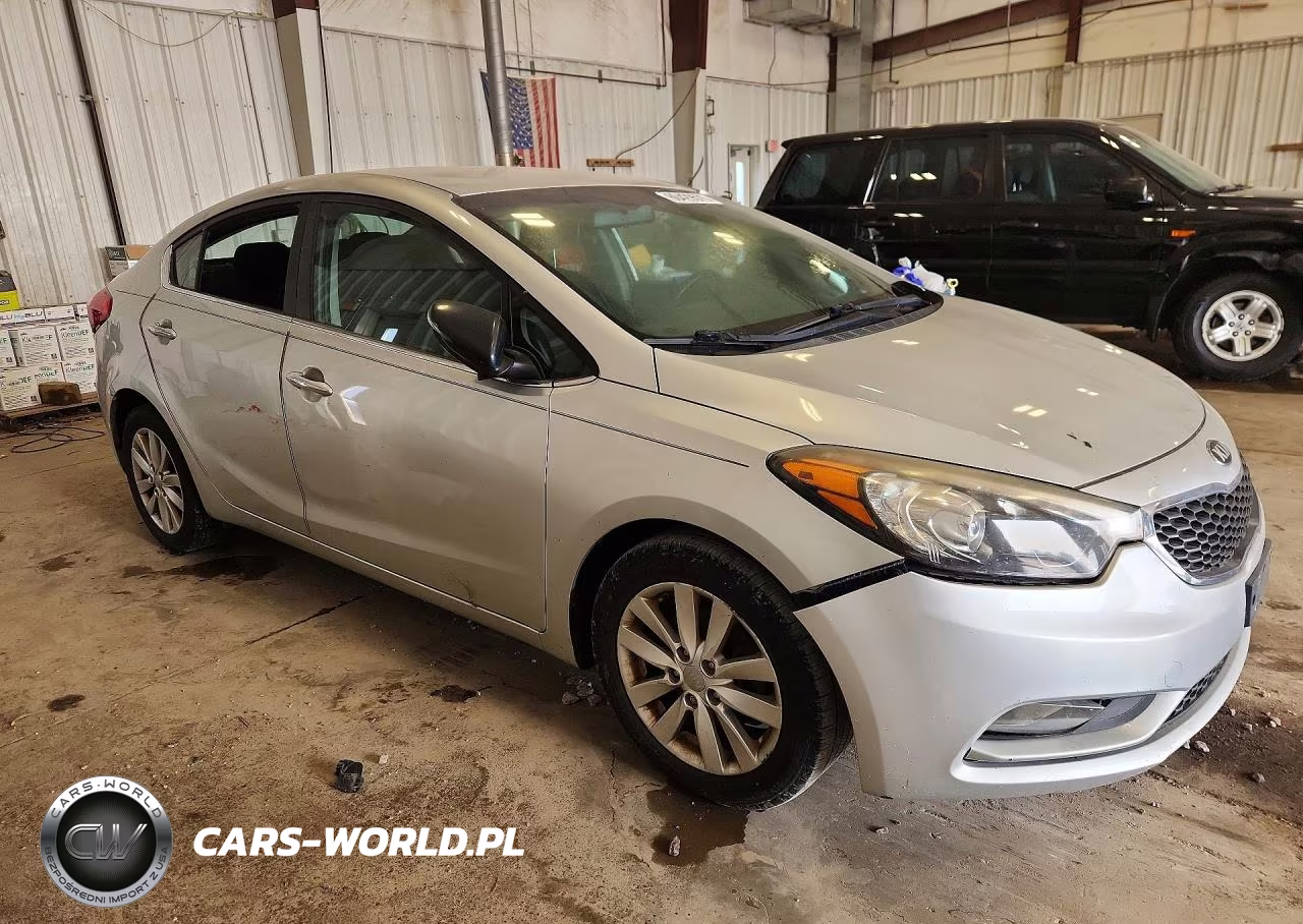 2014 Kia Forte Ex VIN:KNAFX4A84E5059352 - 4