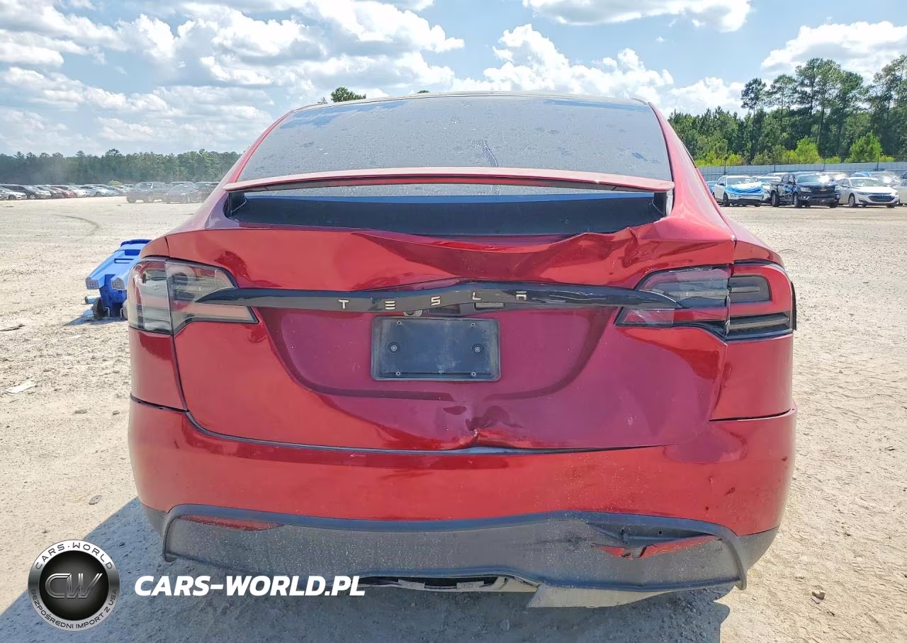 2023 Tesla Model X VIN:7SAXCDE58PF419049 - 6