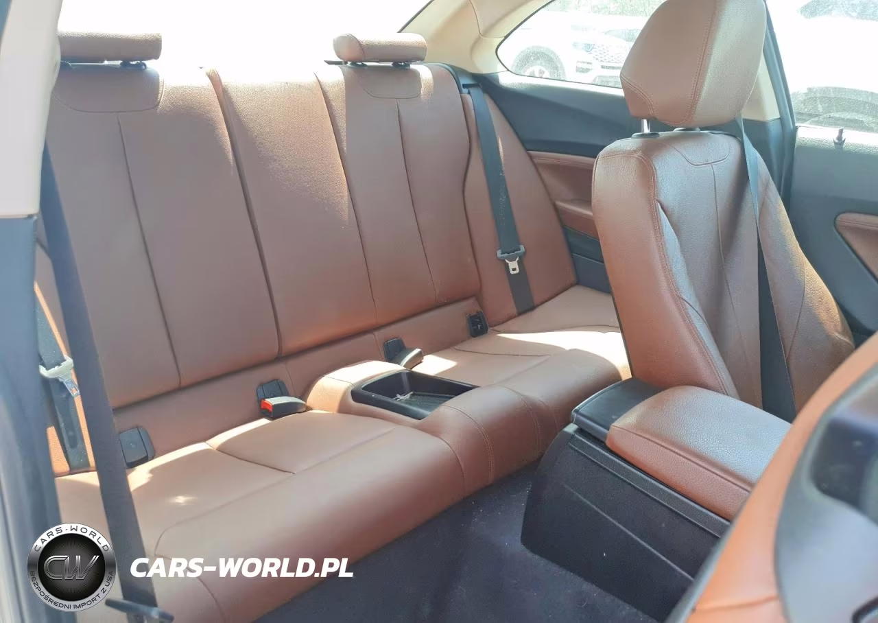 2015 BMW 228 Xi VIN:WBA1F7C53FVX95699 - 10