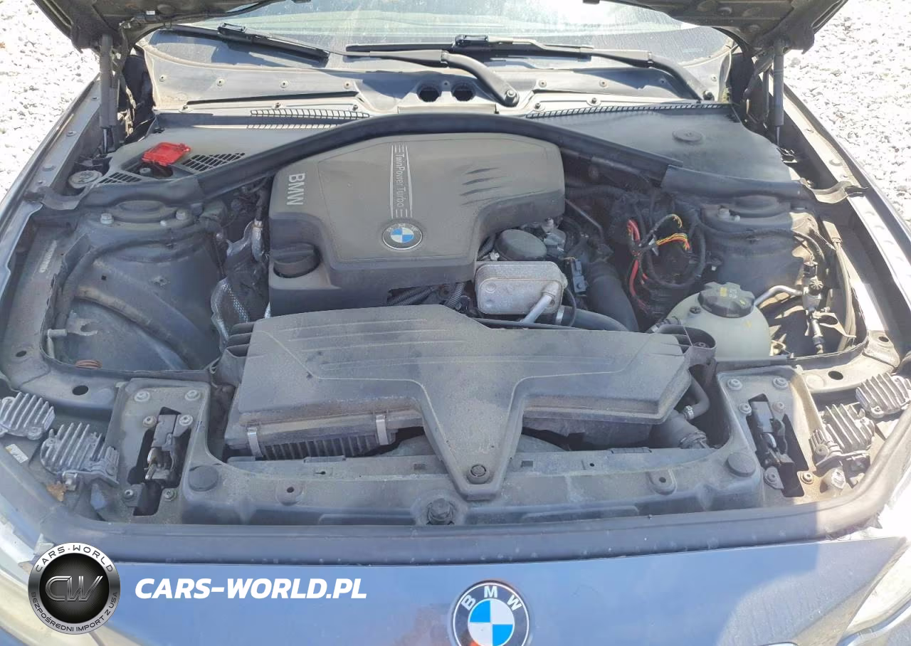 2015 BMW 228 Xi VIN:WBA1F7C53FVX95699 - 11
