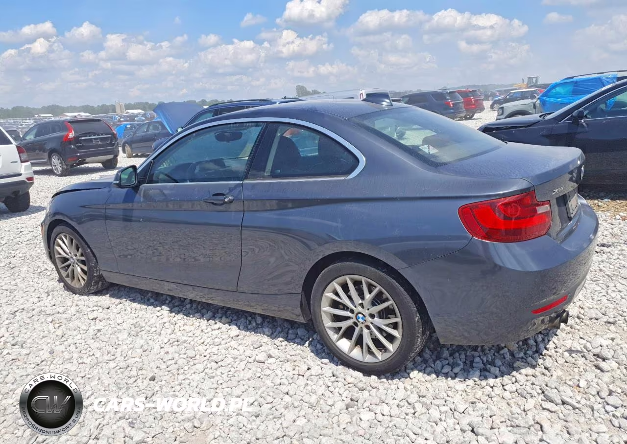 2015 BMW 228 Xi VIN:WBA1F7C53FVX95699 - 2