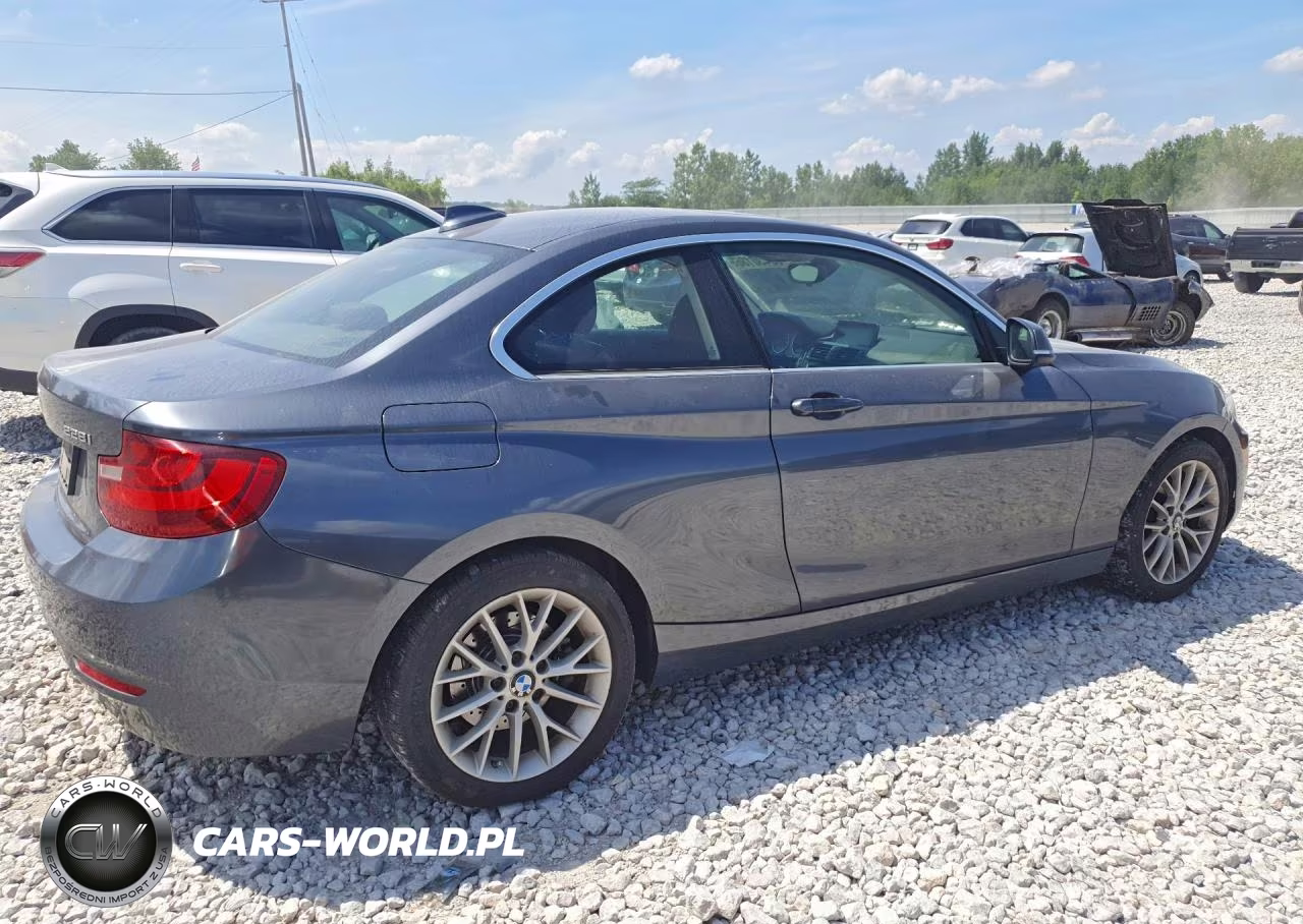 2015 BMW 228 Xi VIN:WBA1F7C53FVX95699 - 3