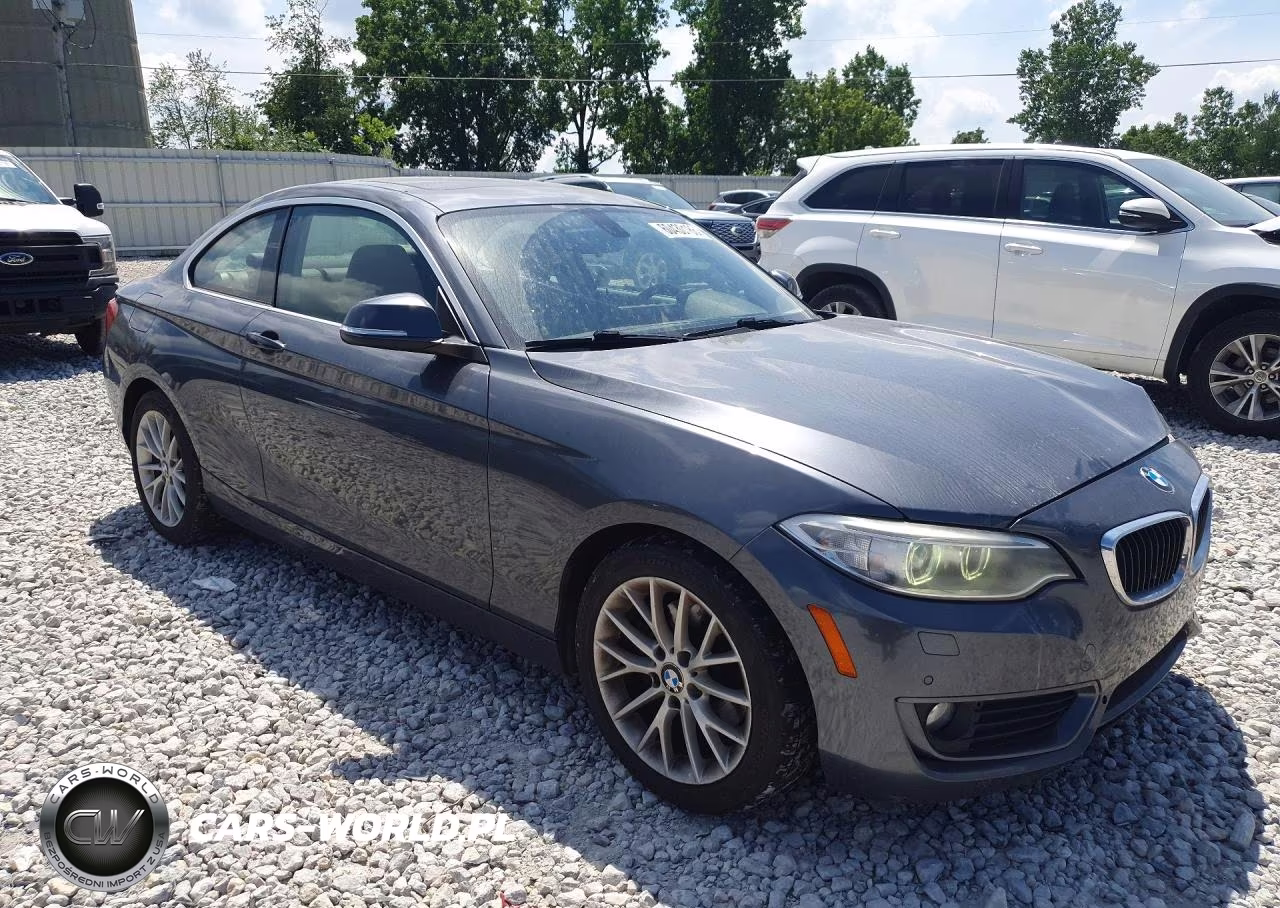 2015 BMW 228 Xi VIN:WBA1F7C53FVX95699 - 4