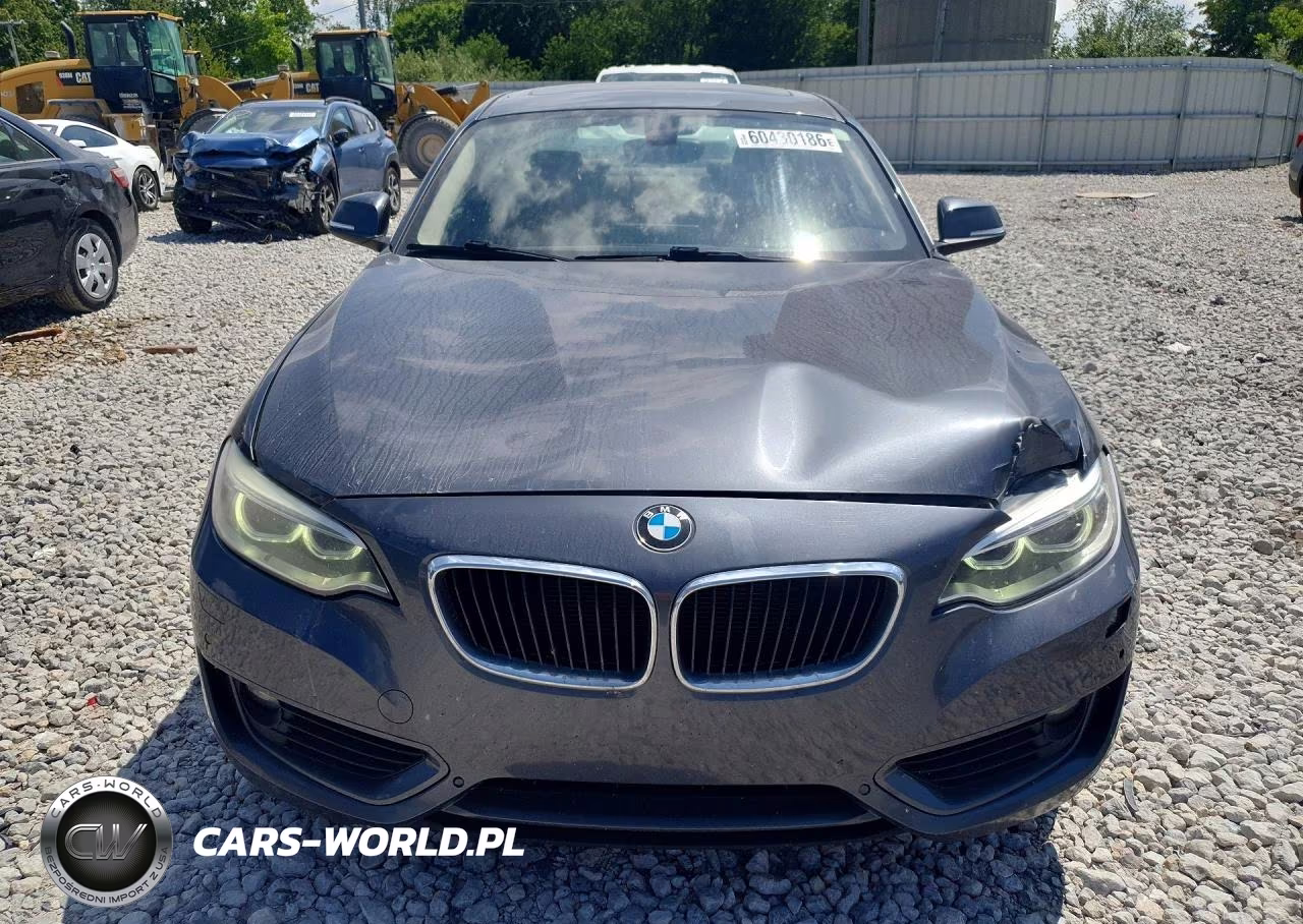 2015 BMW 228 Xi VIN:WBA1F7C53FVX95699 - 5