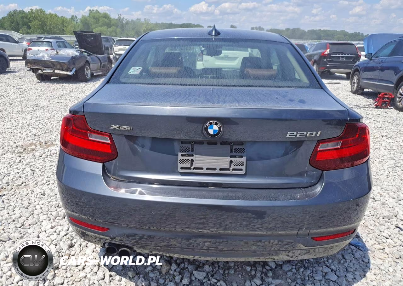 2015 BMW 228 Xi VIN:WBA1F7C53FVX95699 - 6