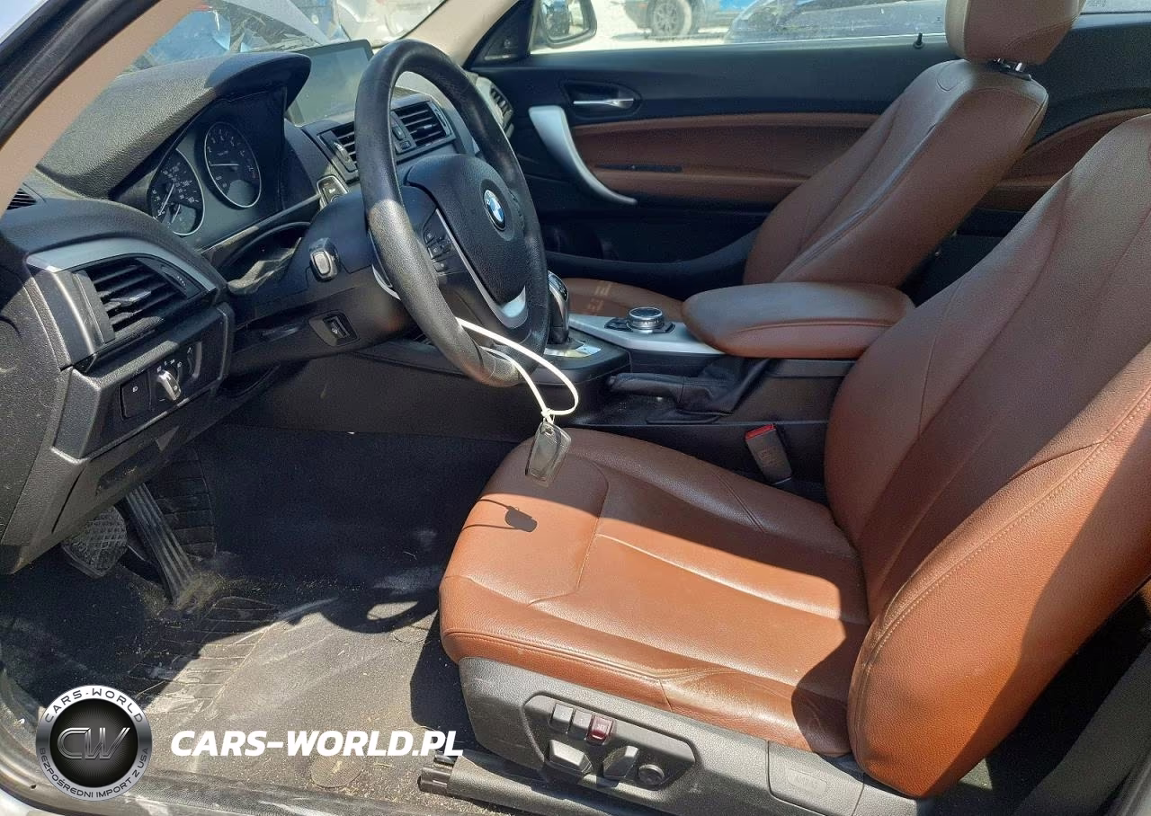 2015 BMW 228 Xi VIN:WBA1F7C53FVX95699 - 7