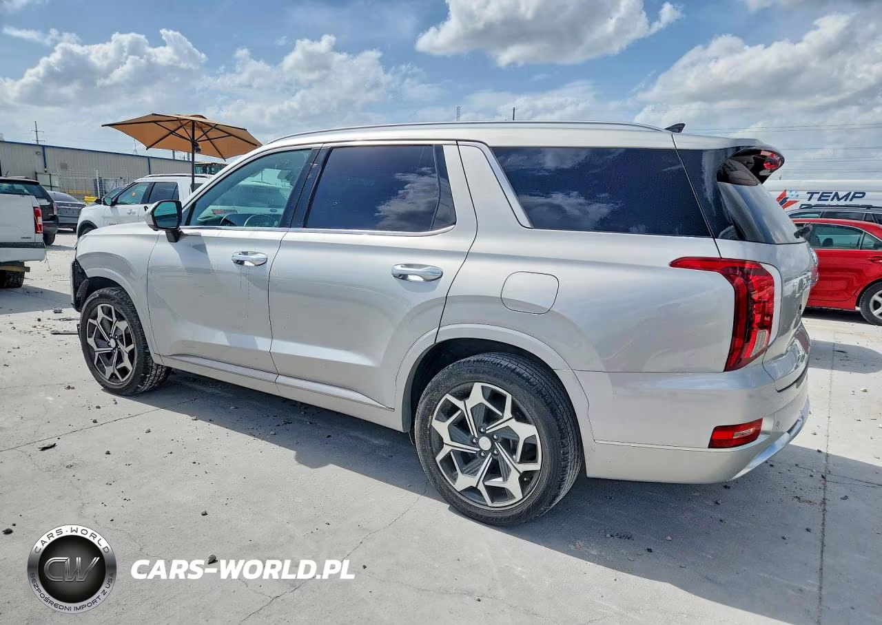 2021 Hyundai Palisade Calligraphy VIN:KM8R74HE1MU334185 - 2