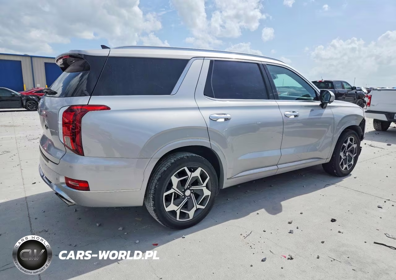 2021 Hyundai Palisade Calligraphy VIN:KM8R74HE1MU334185 - 3
