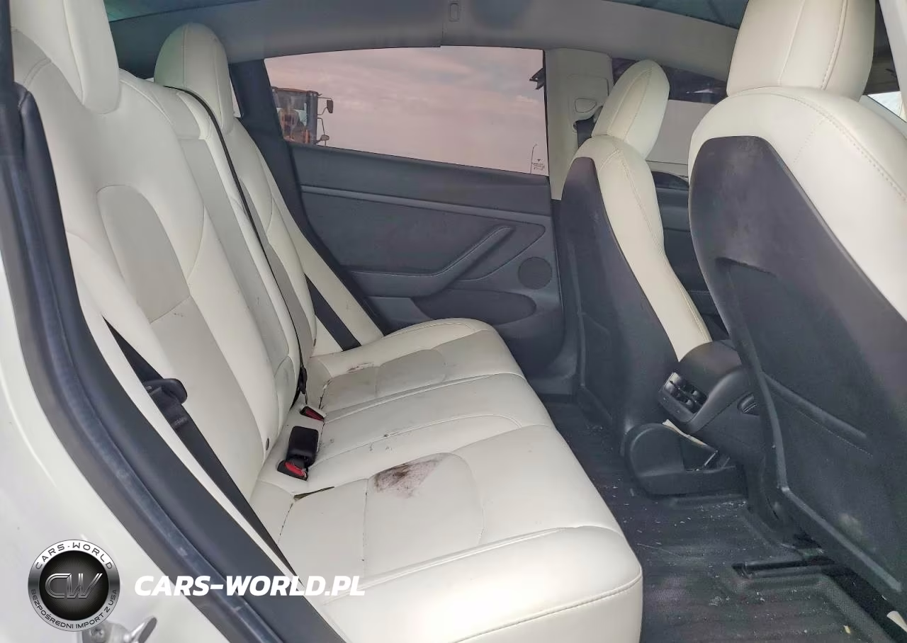 2021 Tesla Model 3 VIN:5YJ3E1EA1MF096010 - 10