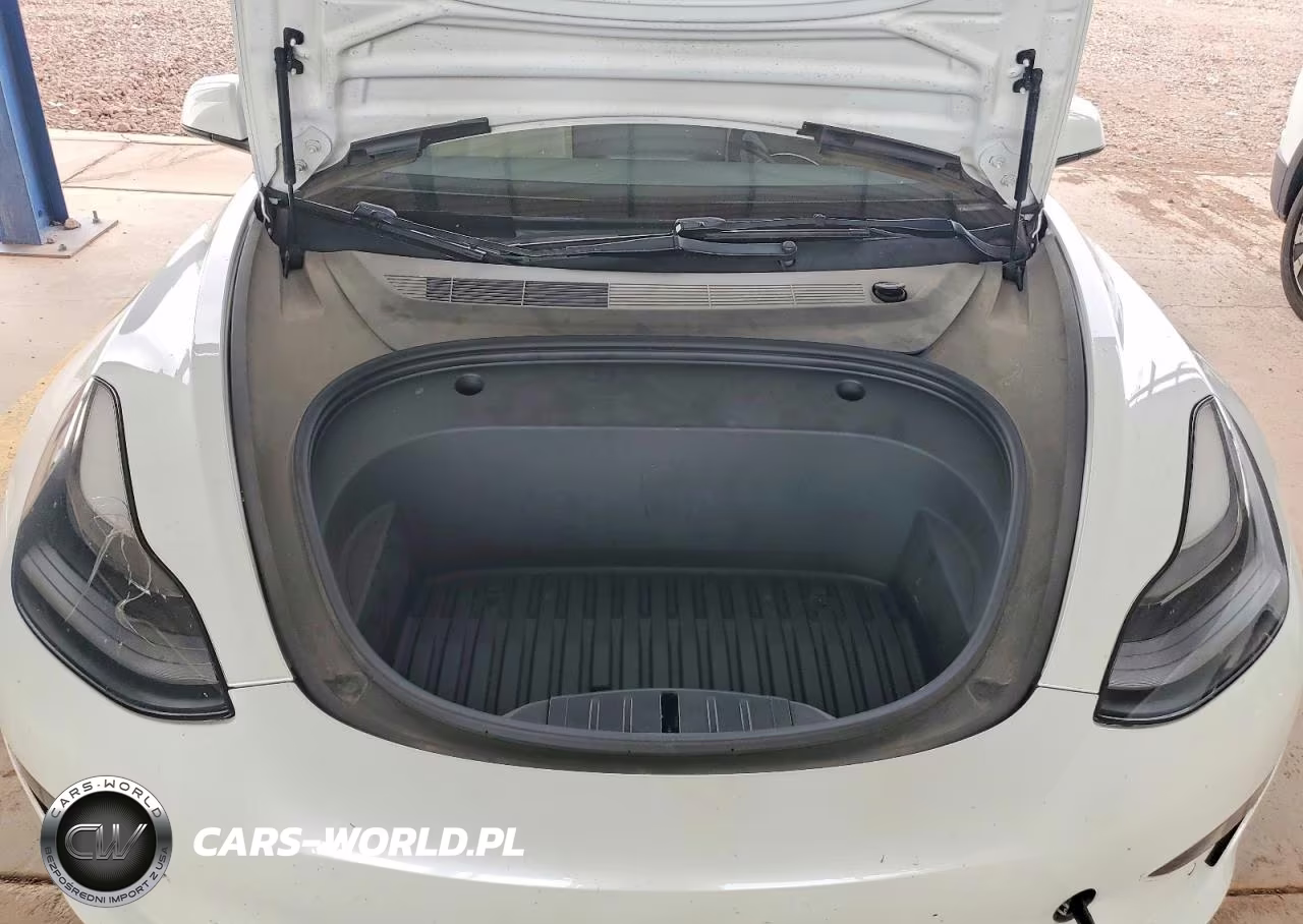 2021 Tesla Model 3 VIN:5YJ3E1EA1MF096010 - 11