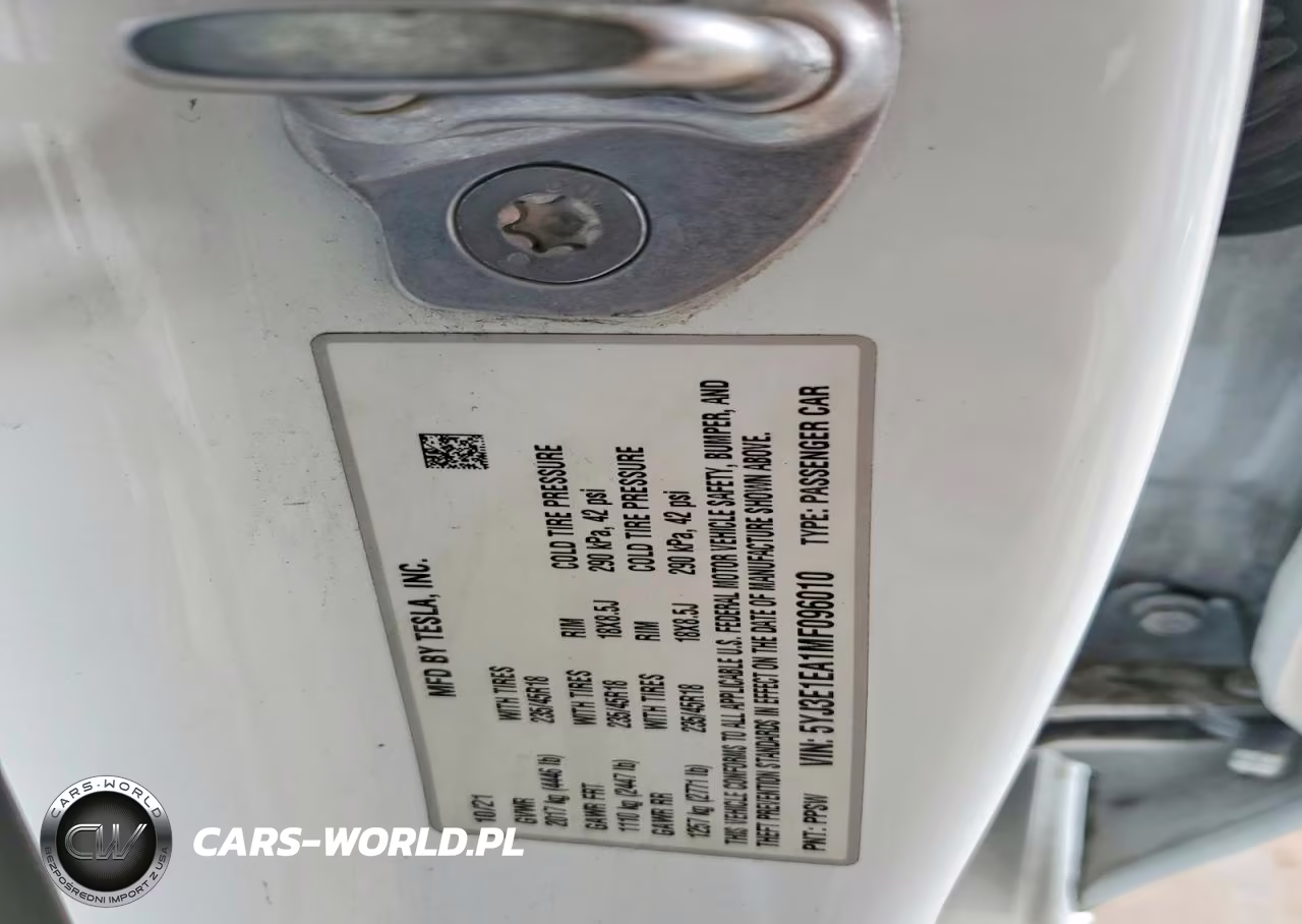 2021 Tesla Model 3 VIN:5YJ3E1EA1MF096010 - 12