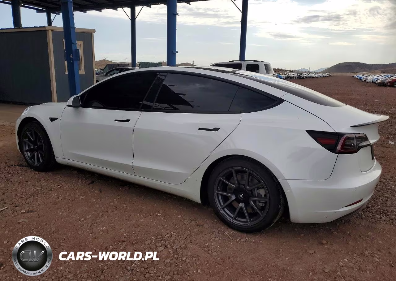 2021 Tesla Model 3 VIN:5YJ3E1EA1MF096010 - 2
