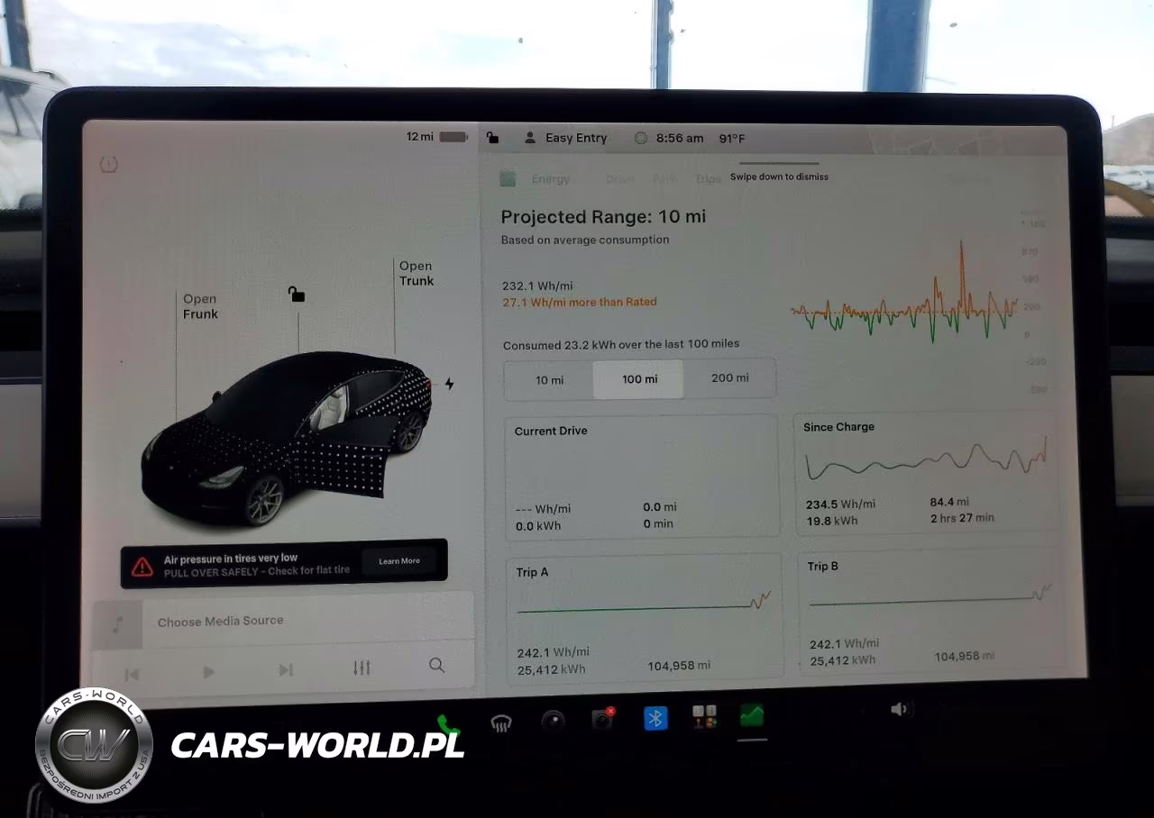 2021 Tesla Model 3 VIN:5YJ3E1EA1MF096010 - 9