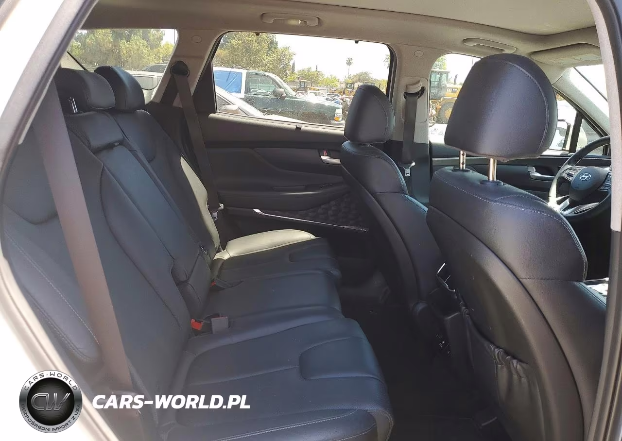 2020 Hyundai Santa Fe Limited 2.0T VIN:5NMS53AA4LH225870 - 10