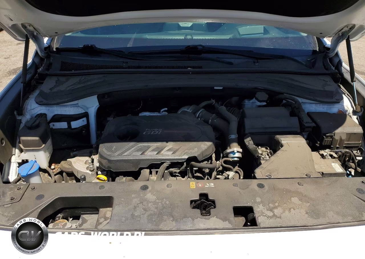 2020 Hyundai Santa Fe Limited 2.0T VIN:5NMS53AA4LH225870 - 11