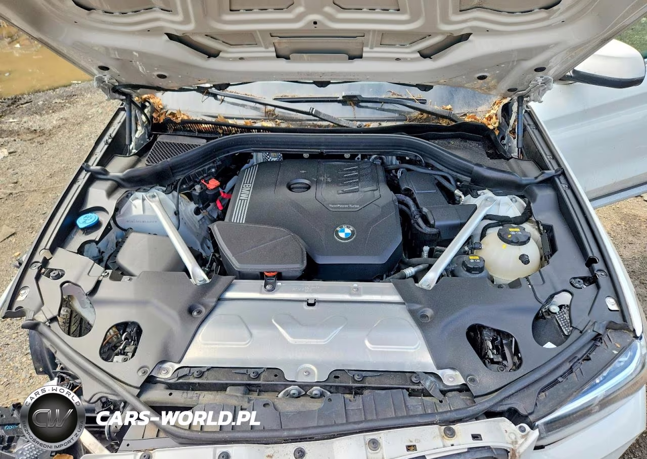2022 BMW X3 xDrive30I VIN:5UX53DP04N9L05030 - 12