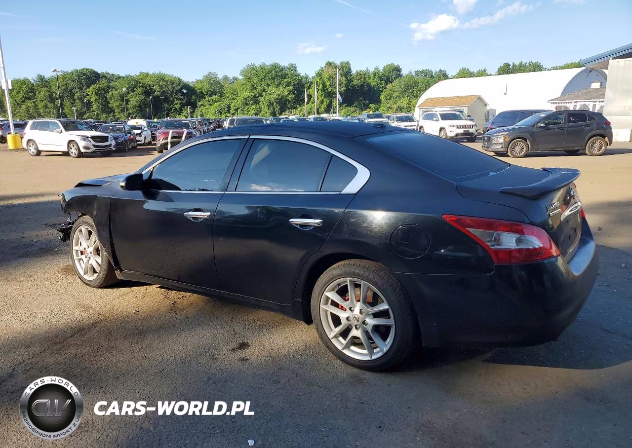 2010 Nissan Maxima 3.5 S VIN:1N4AA5AP5AC834250 - 2