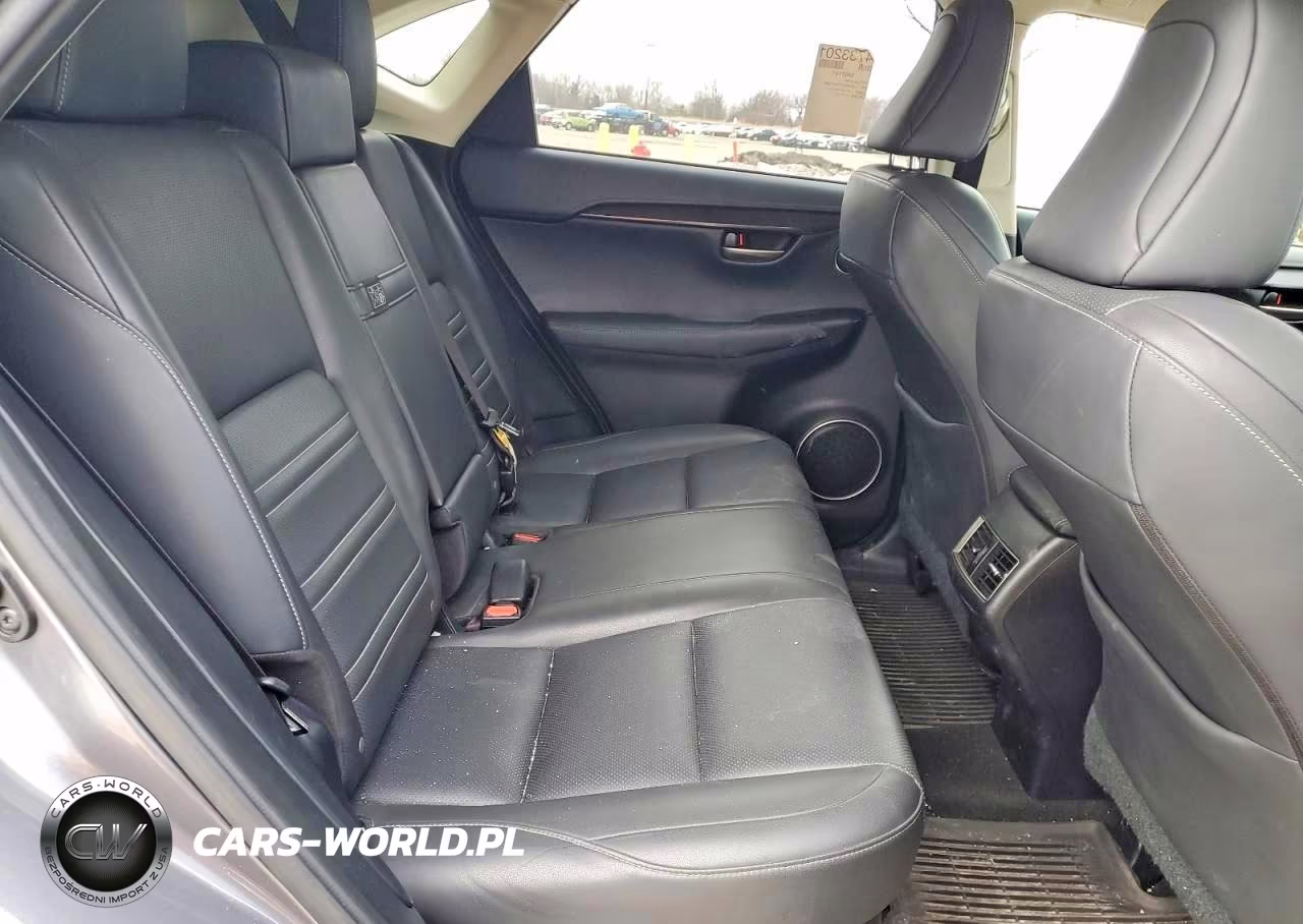 2015 Lexus Nx 300H VIN:JTJBJRBZ1F2017292 - 10