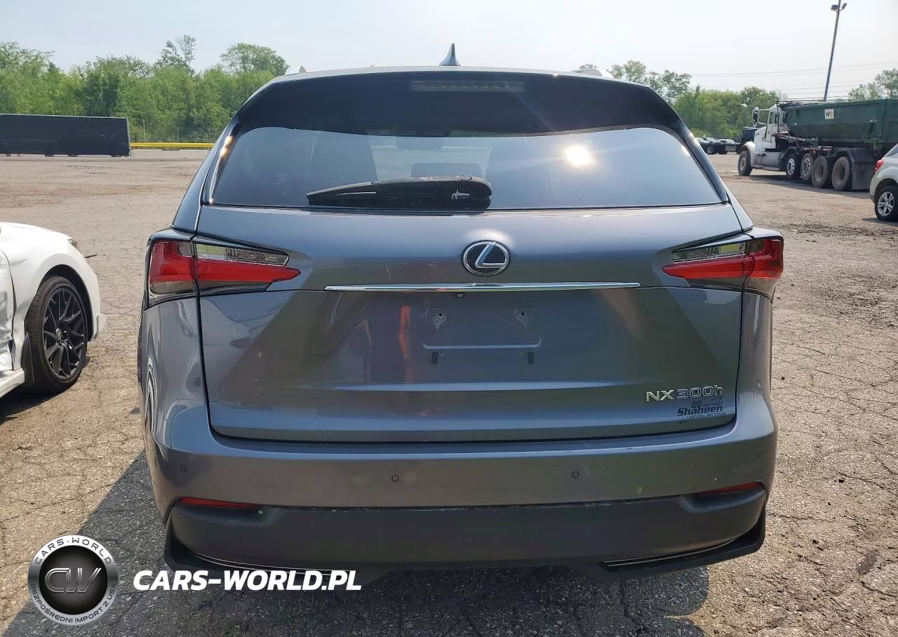 2015 Lexus Nx 300H VIN:JTJBJRBZ1F2017292 - 6
