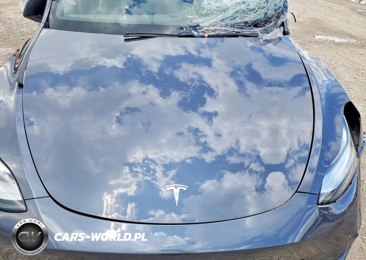 2021 Tesla Model Y VIN:5YJYGDEE4MF062616 - 11