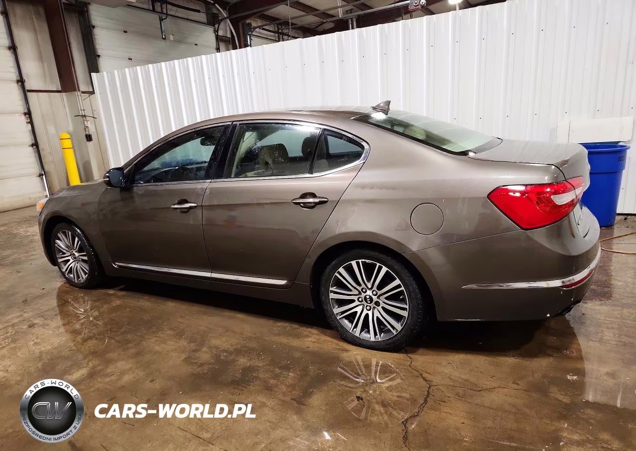 2015 Kia Cadenza Premium VIN:KNALN4D72F5169295 - 2