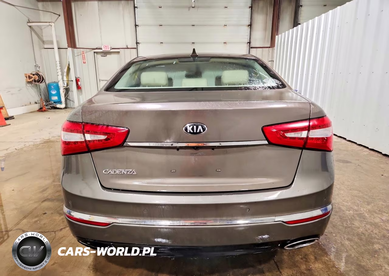 2015 Kia Cadenza Premium VIN:KNALN4D72F5169295 - 6