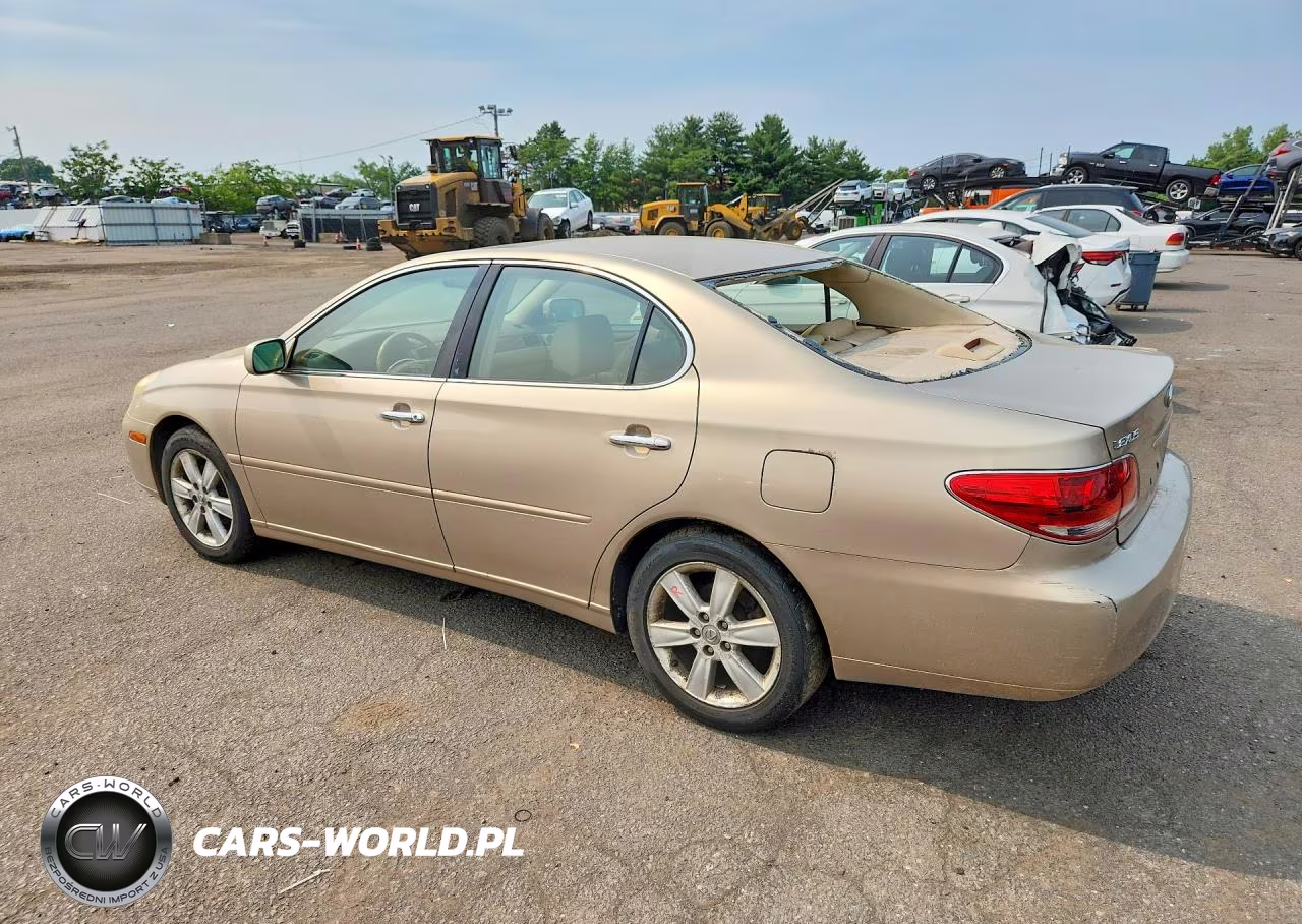 2005 Lexus Es 330 VIN:JTHBA30G955065605 - 2