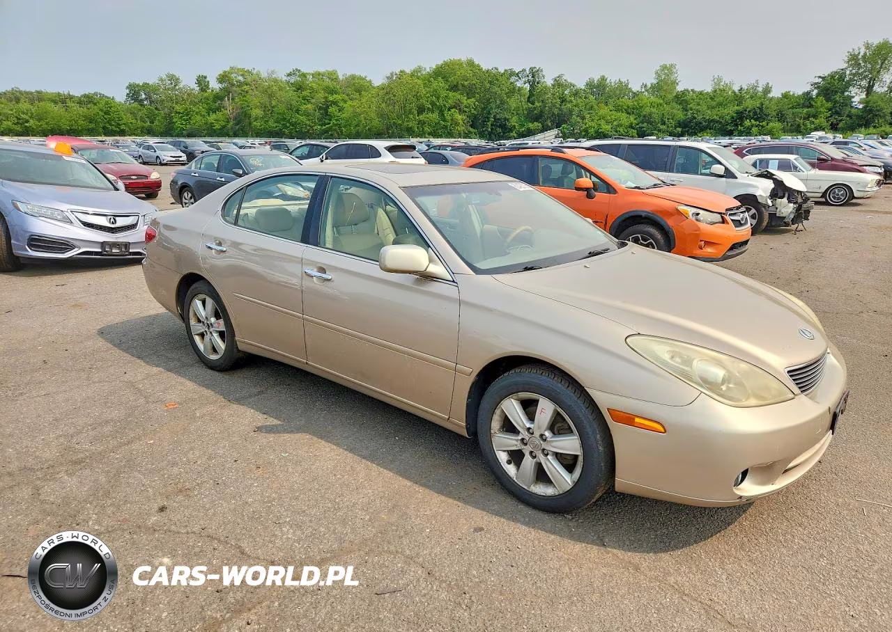 2005 Lexus Es 330 VIN:JTHBA30G955065605 - 4