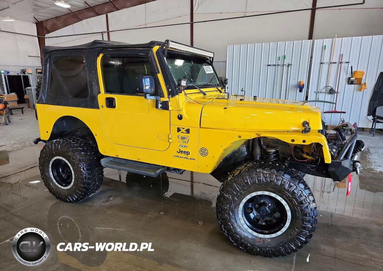 2004 Jeep Wrangler X VIN:1J4FA39S14P798674 - 4