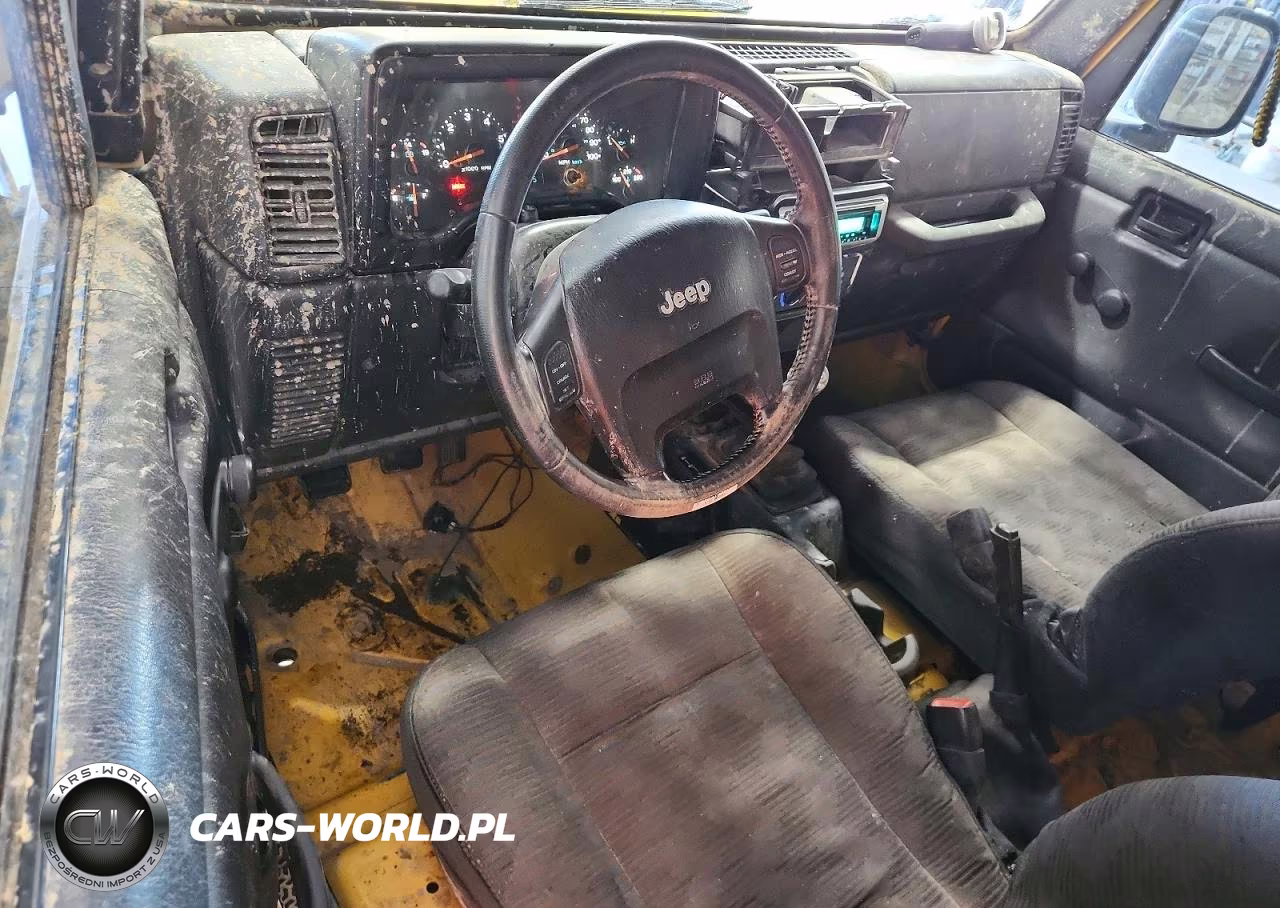 2004 Jeep Wrangler X VIN:1J4FA39S14P798674 - 8