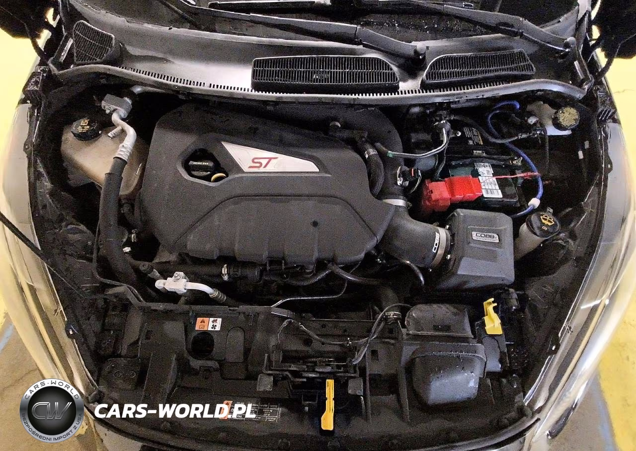 2017 Ford Fiesta St VIN:3FADP4GX0HM157503 - 11