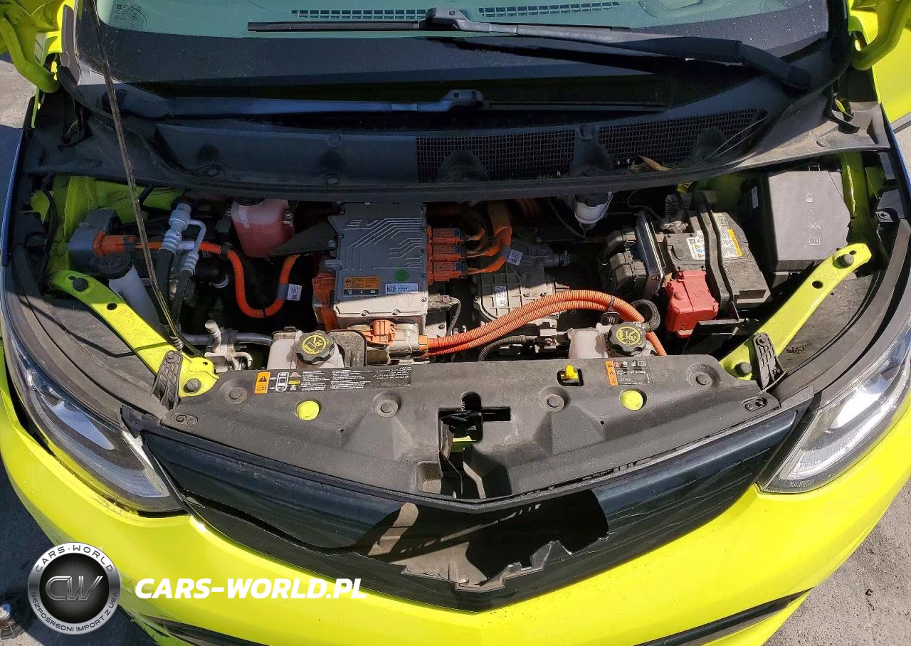 2019 Chevrolet Bolt Ev Premier VIN:1G1FZ6S03K4101800 - 11