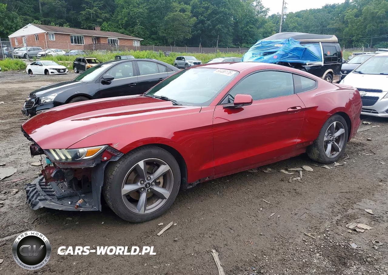2015 Ford Mustang – zdjęcie 1 z 12