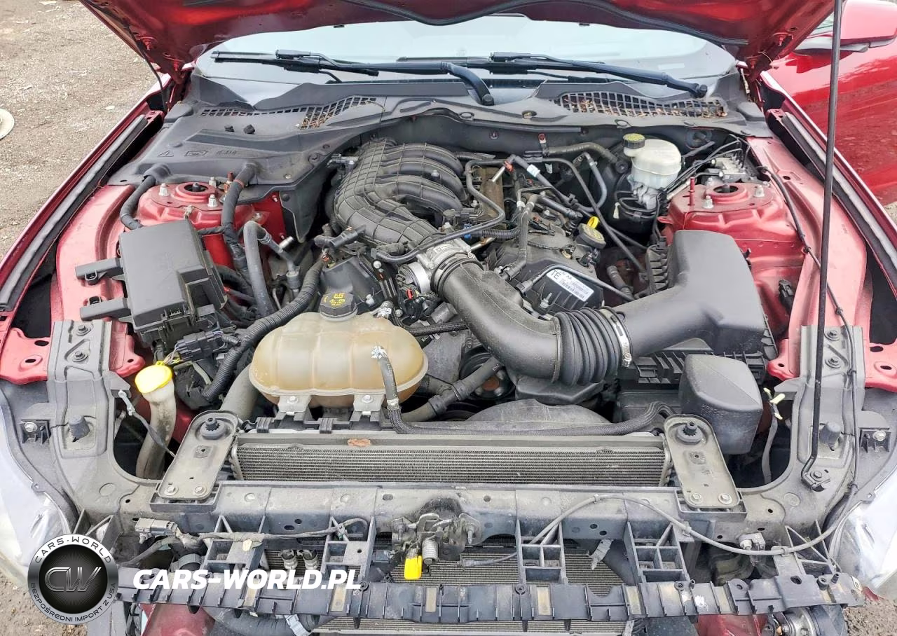 2015 Ford Mustang VIN:1FA6P8AM9F5381208 - 11