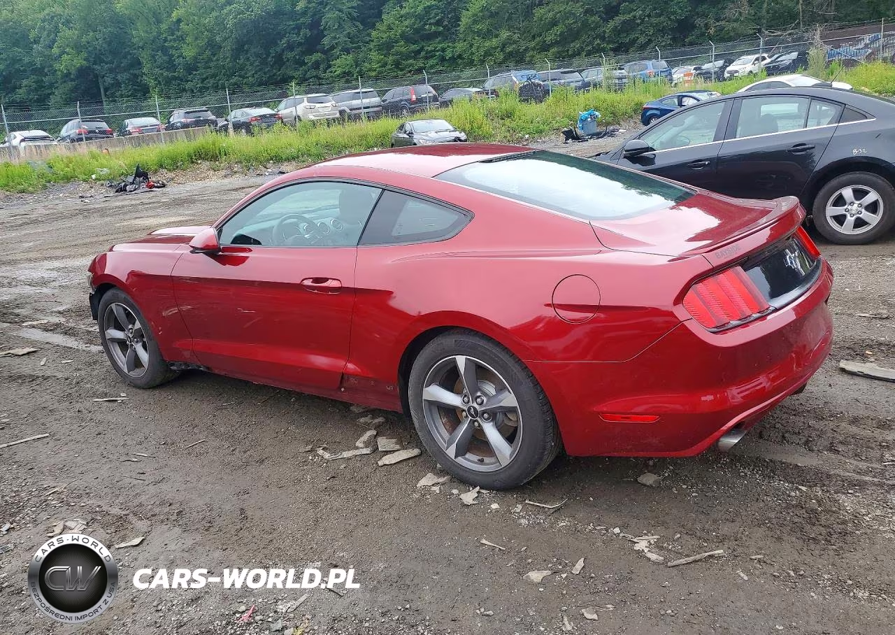 2015 Ford Mustang VIN:1FA6P8AM9F5381208 - 2
