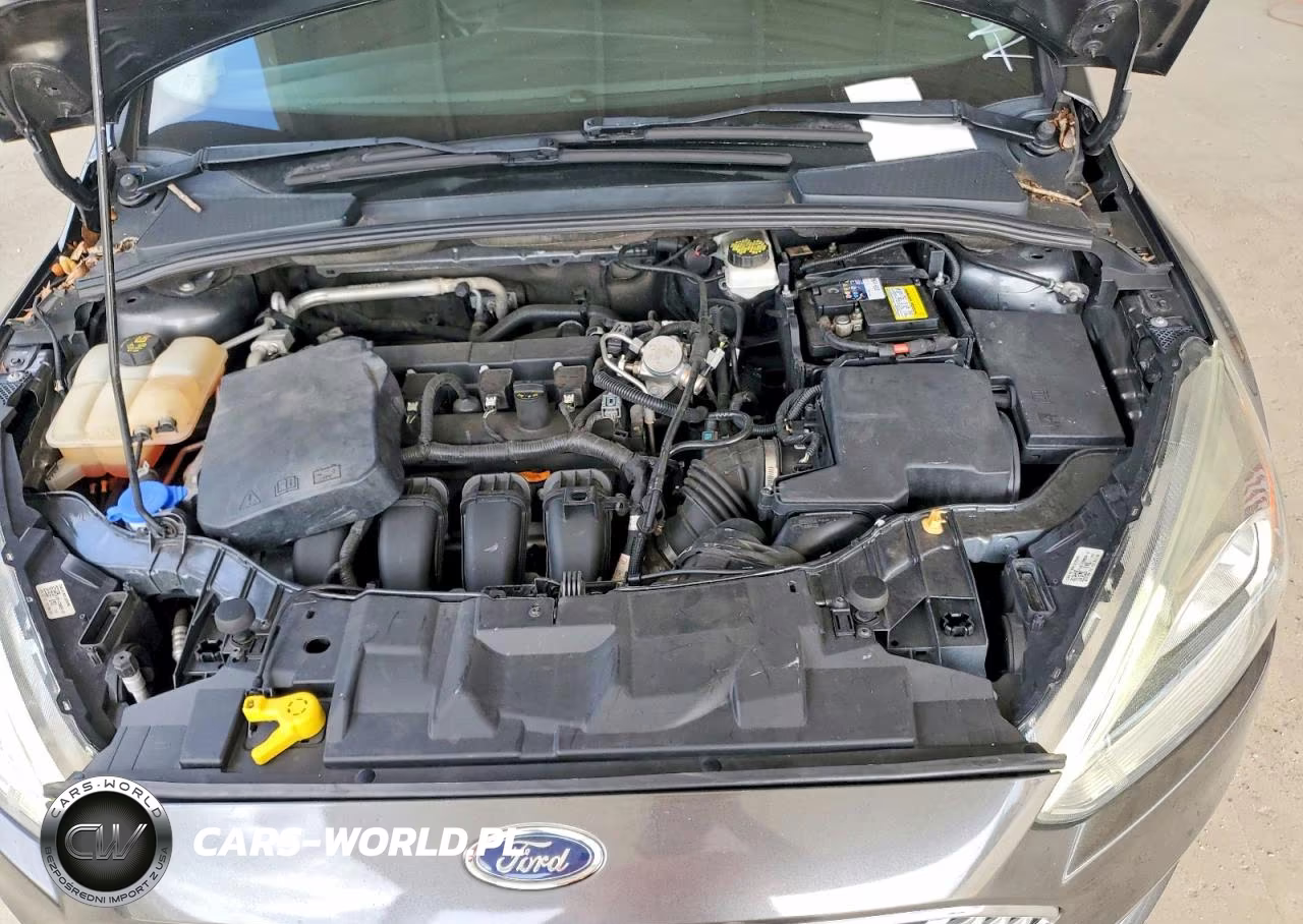 2017 Ford Focus Titanium VIN:1FADP3N24HL230276 - 11
