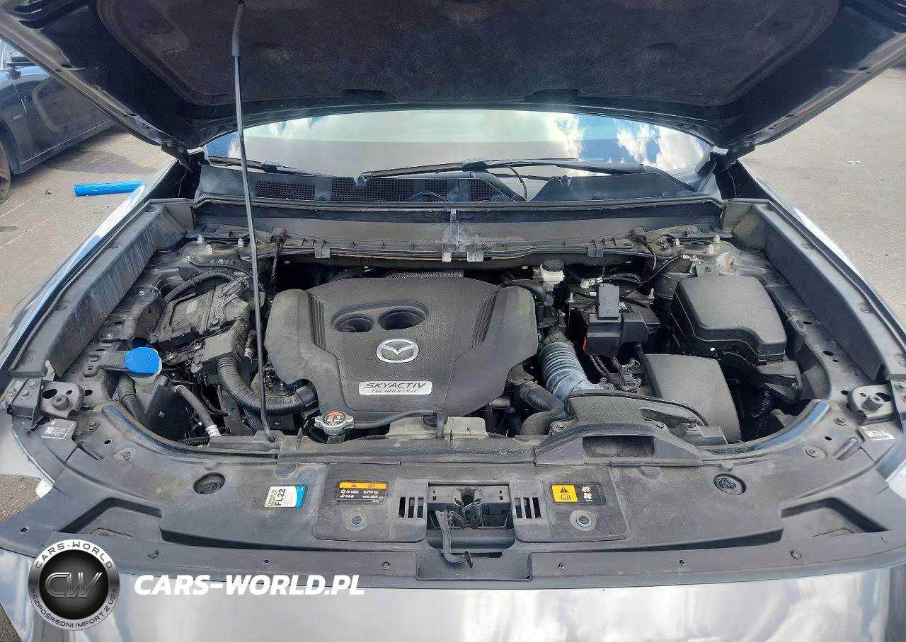 2019 Mazda Cx-9 Signature VIN:JM3TCBEY3K0313164 - 12